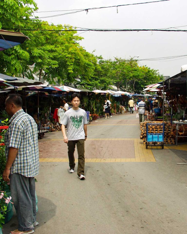 Chatuchak market plants only