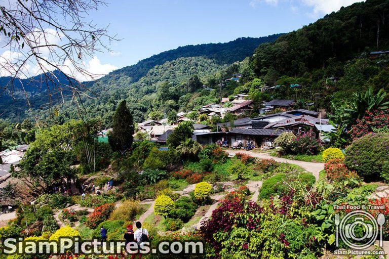 Doi Pui Hmong Hill Tribe Village