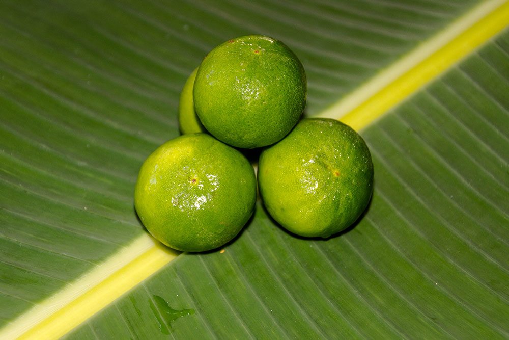 Lime fruit