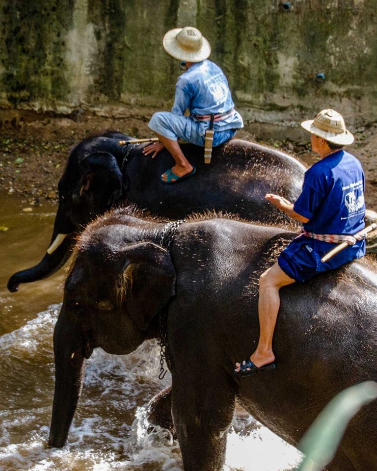 Mae Rim tourist attractions.