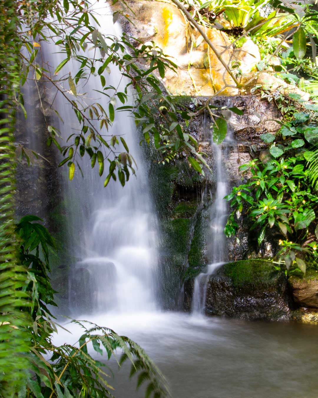 Queen Sirikit Botanical Garden