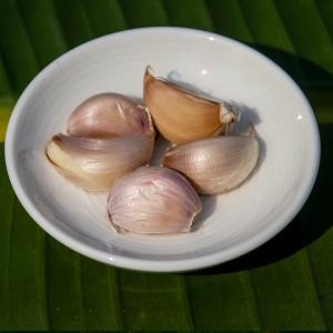 Garlic 2