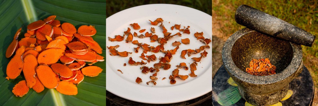 How to make Turmeric