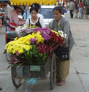 Burmese flower girl