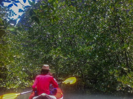Phang Nga bay by speedboat
