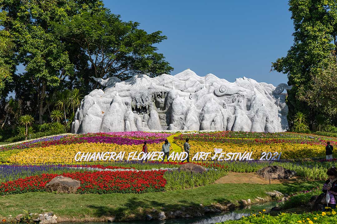 Garden Of Reeds Chiang Rai Flower Festival