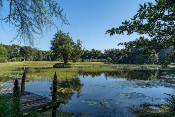 The view over the lake in Rai Mae Fah Luang Rai Mae Fah Luang, Chiang Rai, Thailand