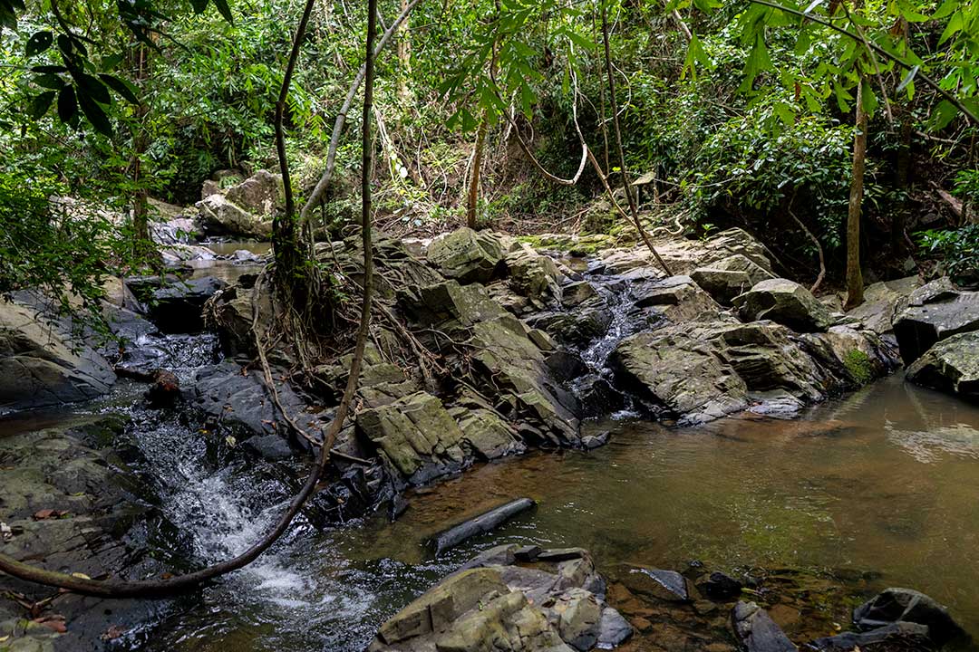 Ton Ao Yon Waterfall Phuket